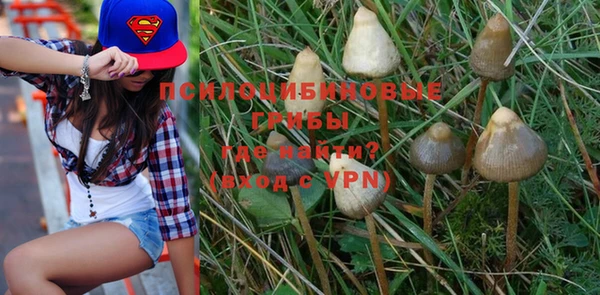 дживик Богородицк