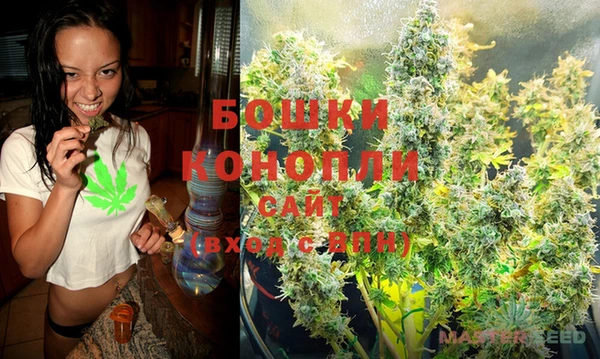 дживик Богородицк