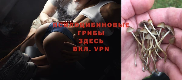 прущие крисы Белоозёрский