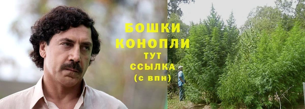 дживик Богородицк